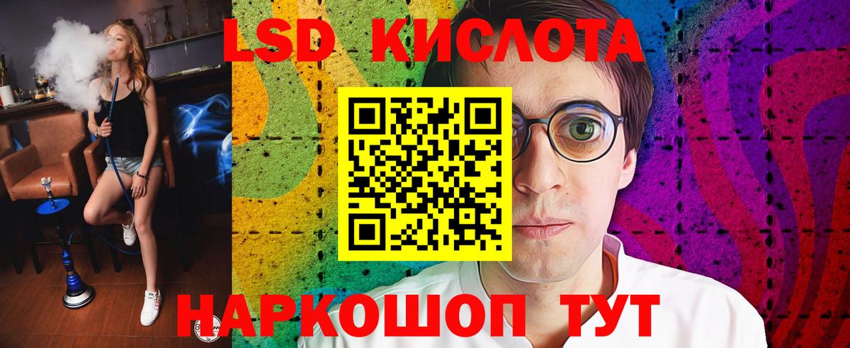 Галлюциногенные грибы Можайск