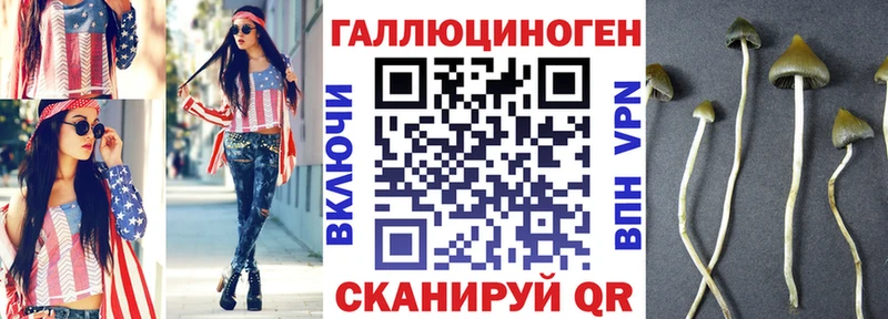 где найти наркотики  Можайск  Псилоцибиновые грибы мицелий 
