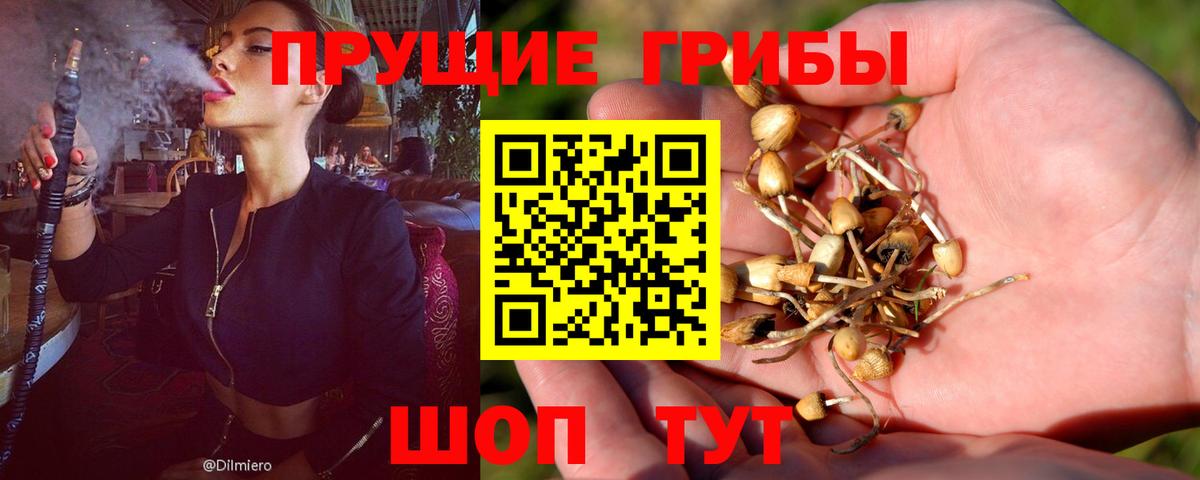 Галлюциногенные грибы Magic Shrooms Можайск